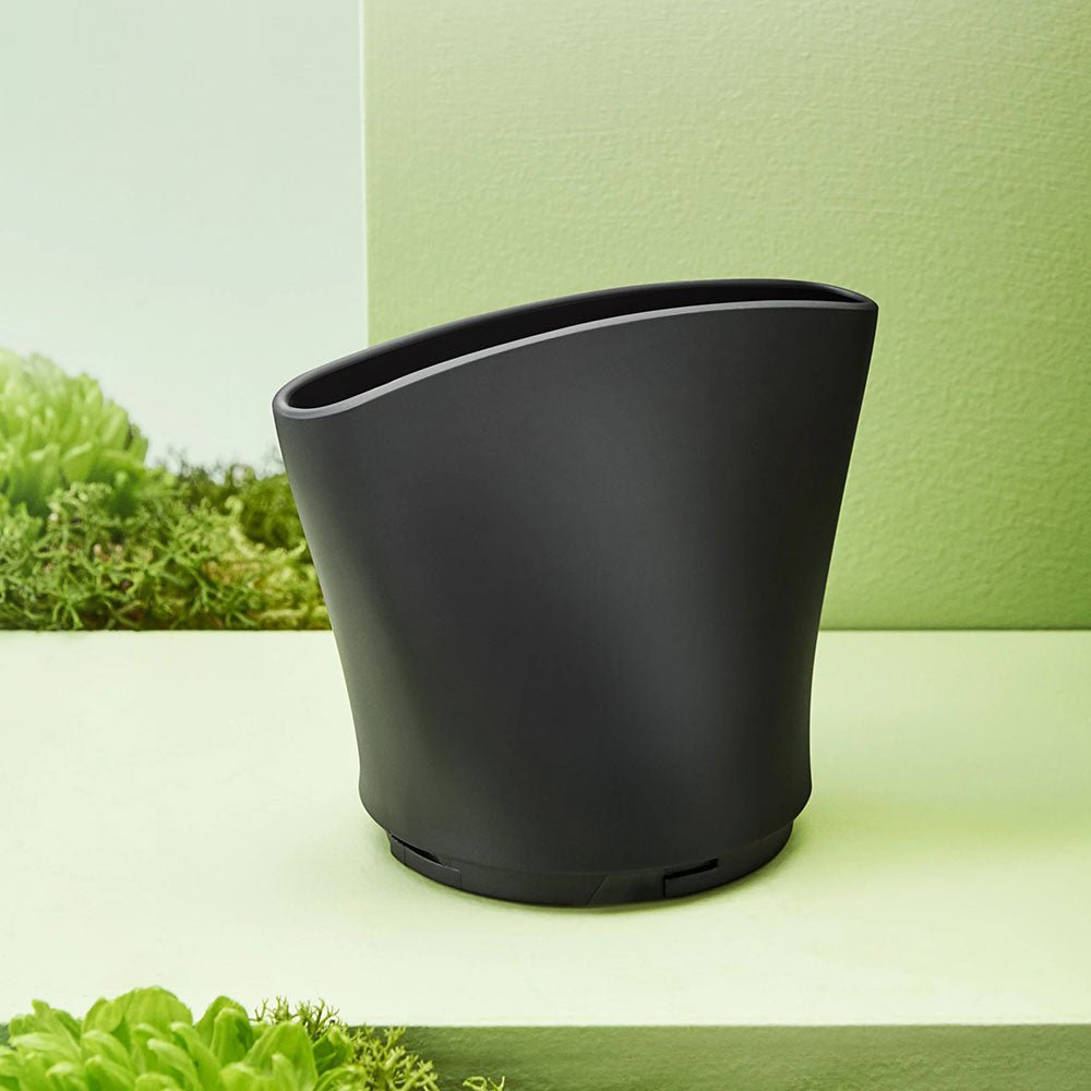 Botanicals Hair Dryer - Image 6